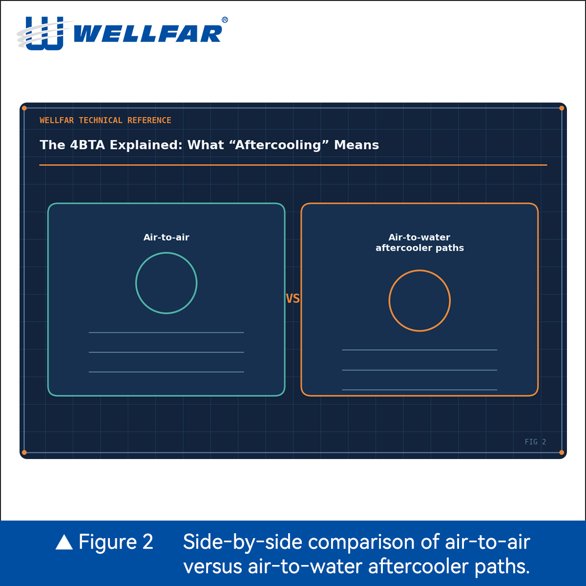 Fig2-Ins-1比1.jpg Fig2-Ins-1比1.jpg