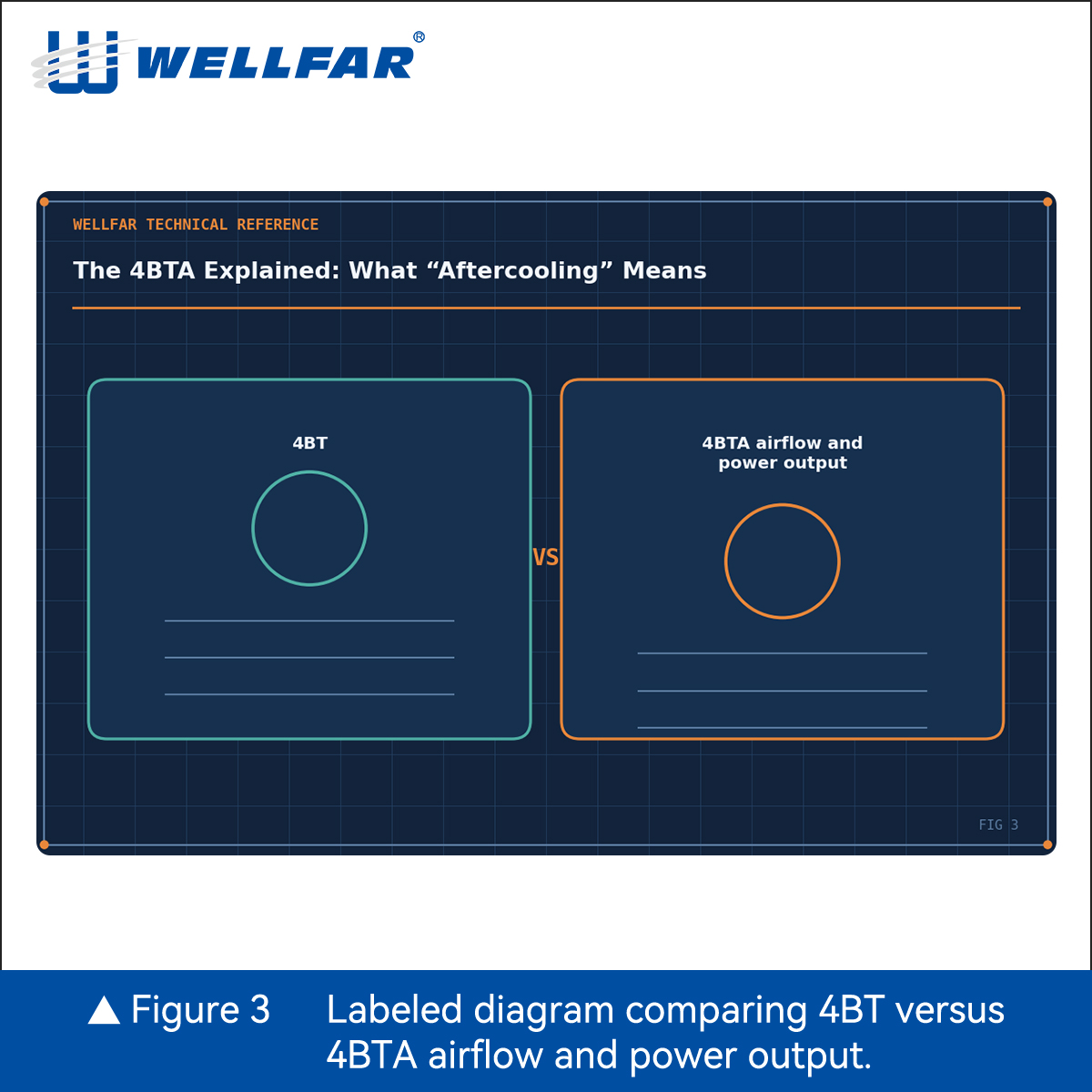 Fig3-Ins-1比1.jpg Fig3-Ins-1比1.jpg