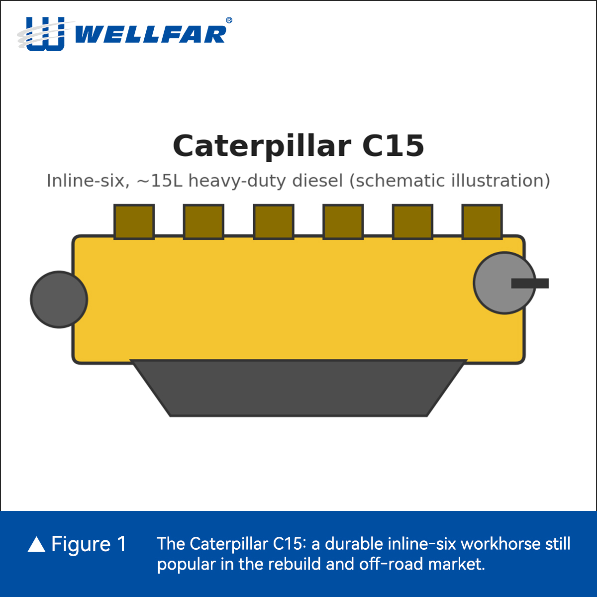 Fig1-Ins-1比1.jpg Fig1-Ins-1比1.jpg